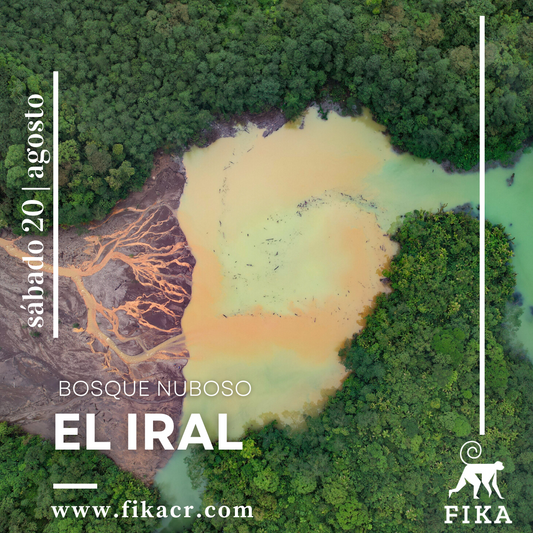 Hiking | Bosque Nuboso El Iral | Coronado