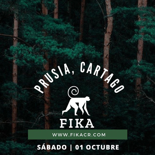 Hiking | Prusia, Cartago